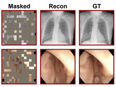 masked-mae.png